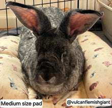 Load image into Gallery viewer, Design Your Own 100% Cotton Lychee's Lounger in 3 Sizes - Small, Med or Large (Temporary Item)