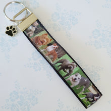 Load image into Gallery viewer, Pit Bull Key Fob / Key Chain with Enameled Paw Print Charm